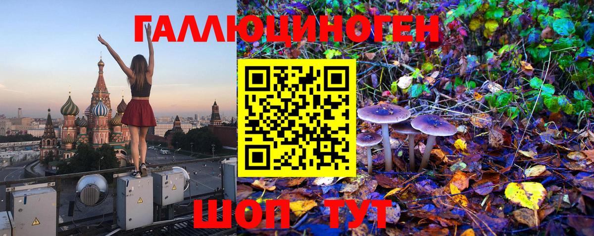Галлюциногенные грибы Cubensis Касимов