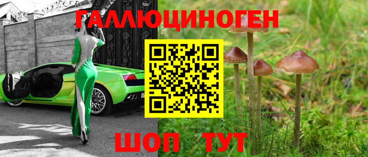 Галлюциногенные грибы ЛСД  Вход с VPN  Касимов 